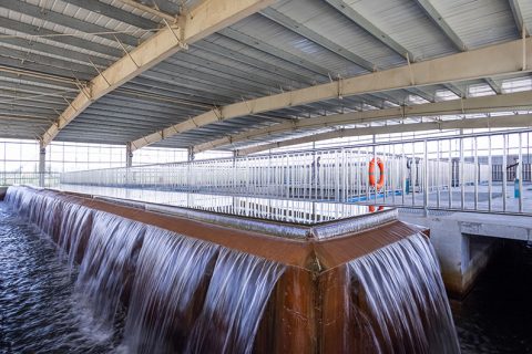 怎么保养多功效微型过滤机？？？？？